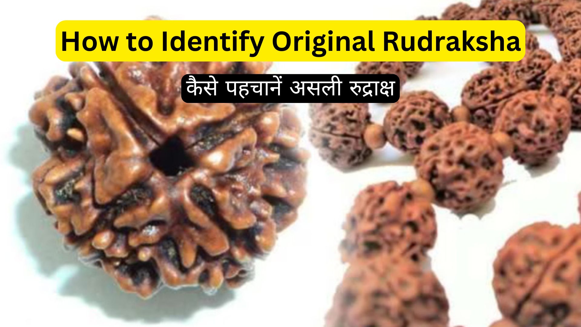 How to Identify Original Rudraksha: कैसे पहचानें असली रुद्राक्ष