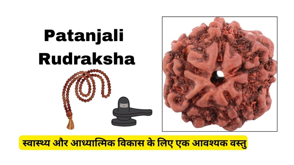 Patanjali Rudraksha: 5 मुखी रुद्राक्ष के लाभ और उपयोग