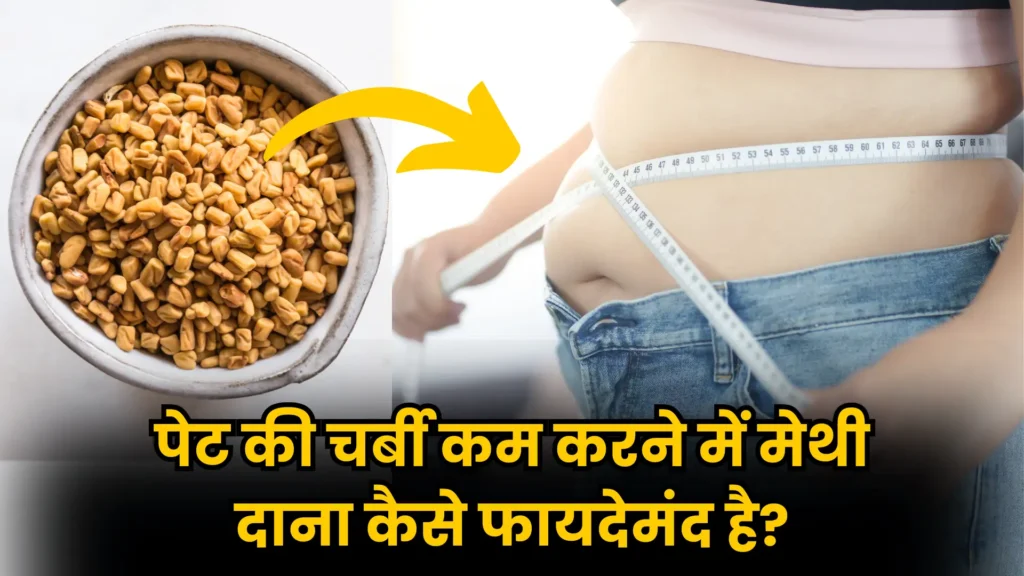 Methi Dana Benefits: मेथी दाना के चमत्कारी फायदे, पेट की चर्बी कम करने में कैसे है फायदेमंद?