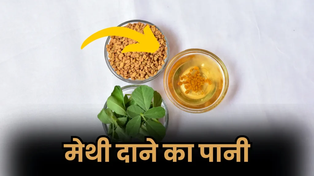 Methi Dana Benefits: मेथी दाना के चमत्कारी फायदे, पेट की चर्बी कम करने में कैसे है फायदेमंद?