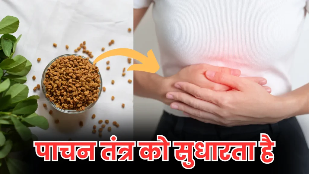 Methi Dana Benefits: मेथी दाना के चमत्कारी फायदे, पेट की चर्बी कम करने में कैसे है फायदेमंद?