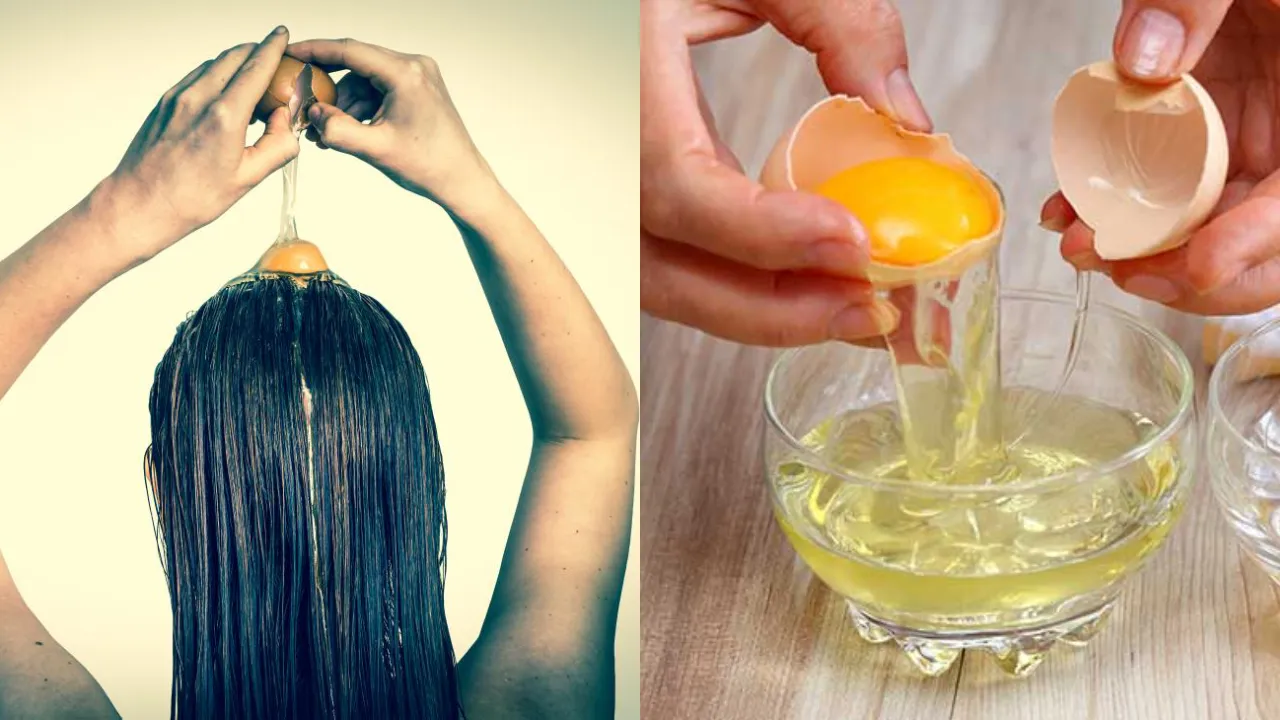 अब घर पर बनाएं असरदार Egg Hair Mask और पाएं मजबूत, चमकदार और घने बाल