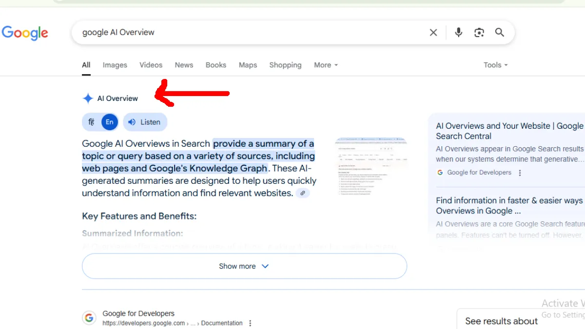 Google Search से AI Overview को कैसे हटाएं? जानिए आसान तरीका