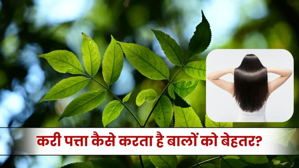 Curry Leaves For Hair: करी पत्ता से बालों को बनाएं लंबा, घना और चमकदार, जानिए कैसे करें इस्तेमाल