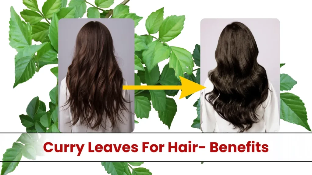 Curry Leaves For Hair: करी पत्ता से बालों को बनाएं लंबा, घना और चमकदार, जानिए कैसे करें इस्तेमाल