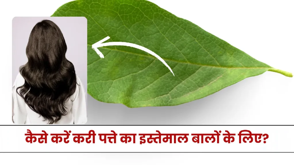Curry Leaves For Hair: करी पत्ता से बालों को बनाएं लंबा, घना और चमकदार, जानिए कैसे करें इस्तेमाल
