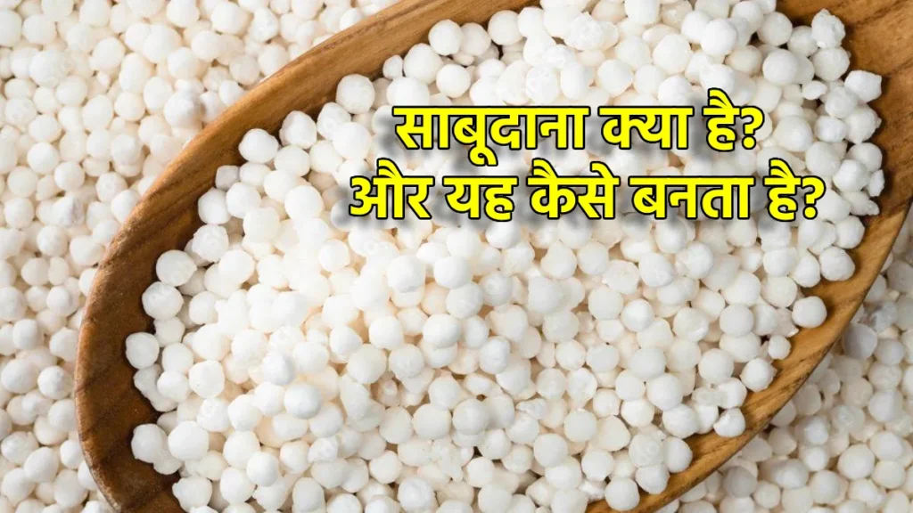 Sabudana Ke Fayde: व्रत ही नहीं, सेहत के लिए भी है सुपरफ़ूड, जानें कैसे करें सेवन