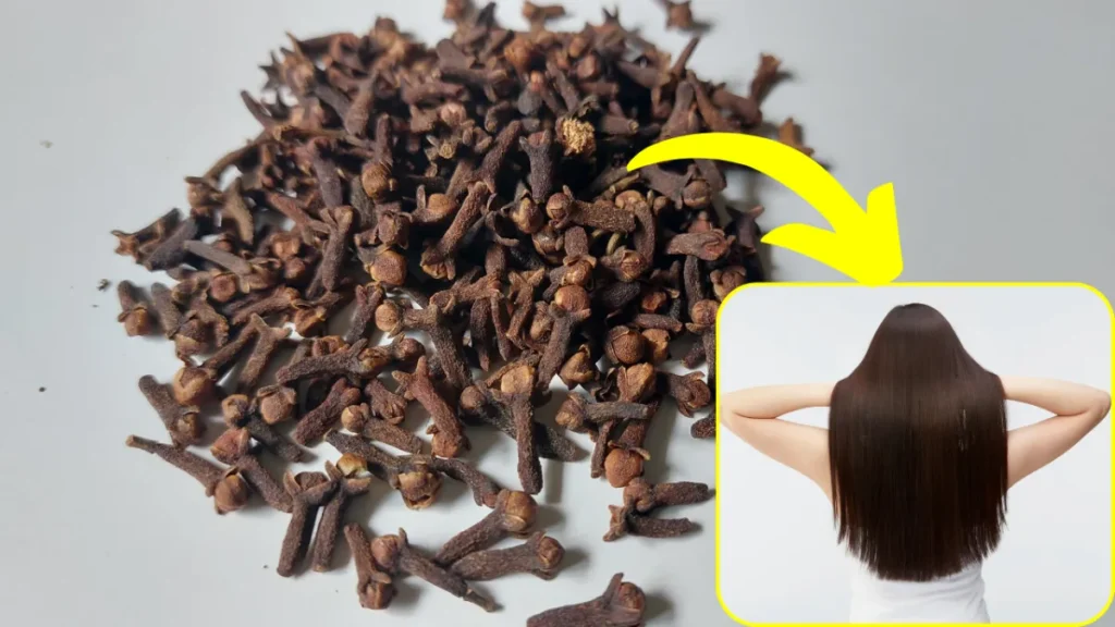 Cloves Benefits for Hair: लौंग से बालों की देखभाल कैसे करें? जानिए फायदे और इस्तेमाल का सही तरीका