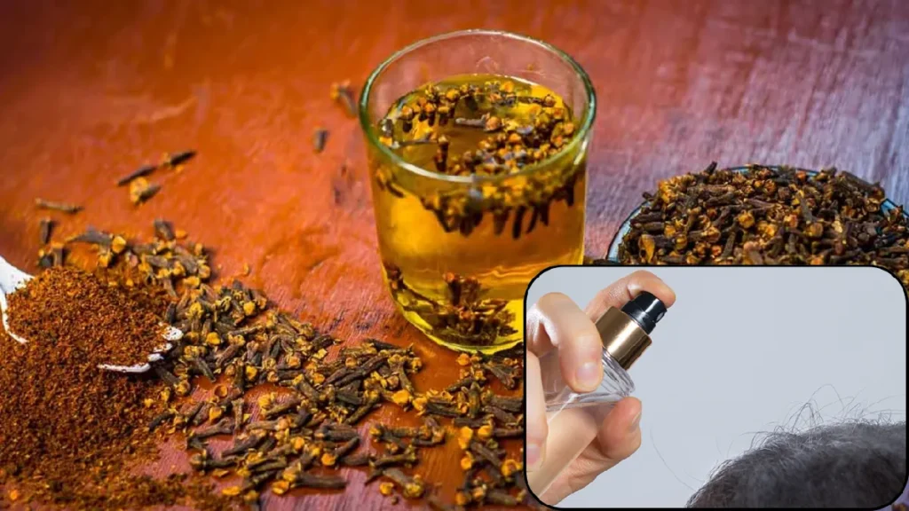 Cloves Benefits for Hair: लौंग से बालों की देखभाल कैसे करें? जानिए फायदे और इस्तेमाल का सही तरीका