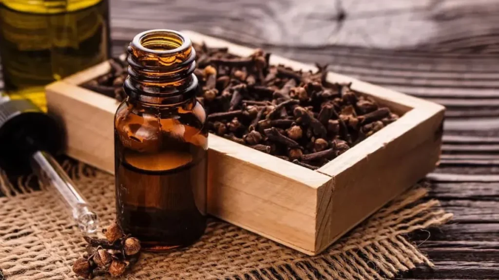 Cloves Benefits for Hair: लौंग से बालों की देखभाल कैसे करें? जानिए फायदे और इस्तेमाल का सही तरीका