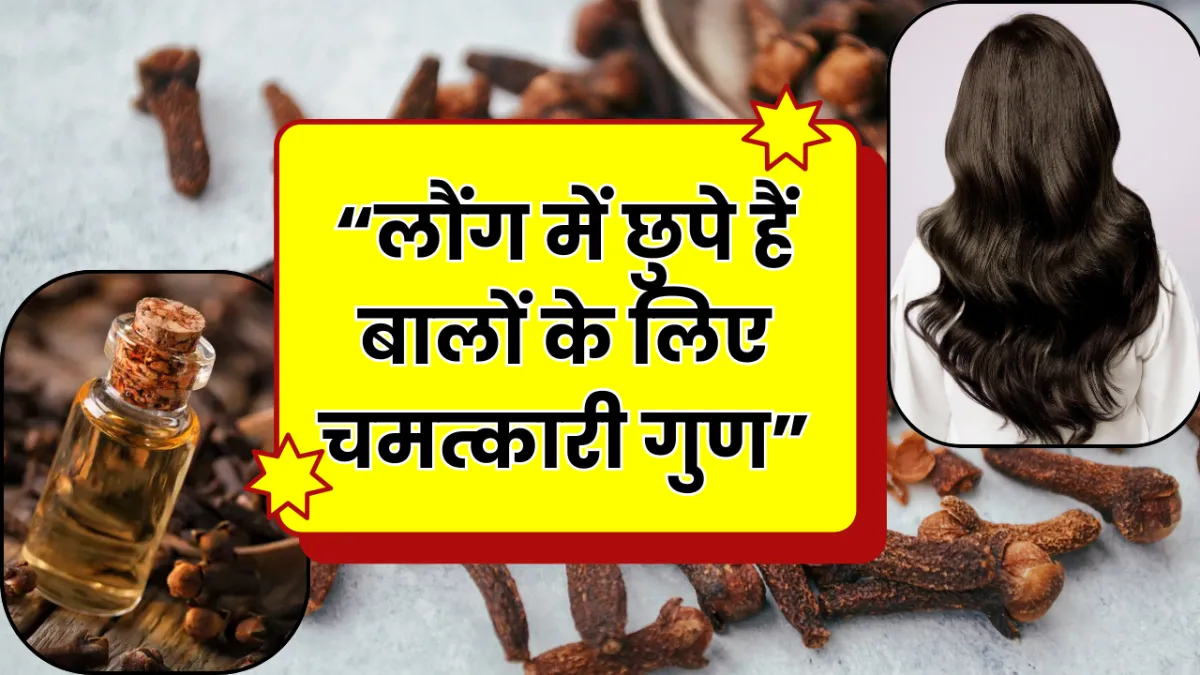 Cloves Benefits for Hair: लौंग से बालों की देखभाल कैसे करें? जानिए फायदे और इस्तेमाल का सही तरीका