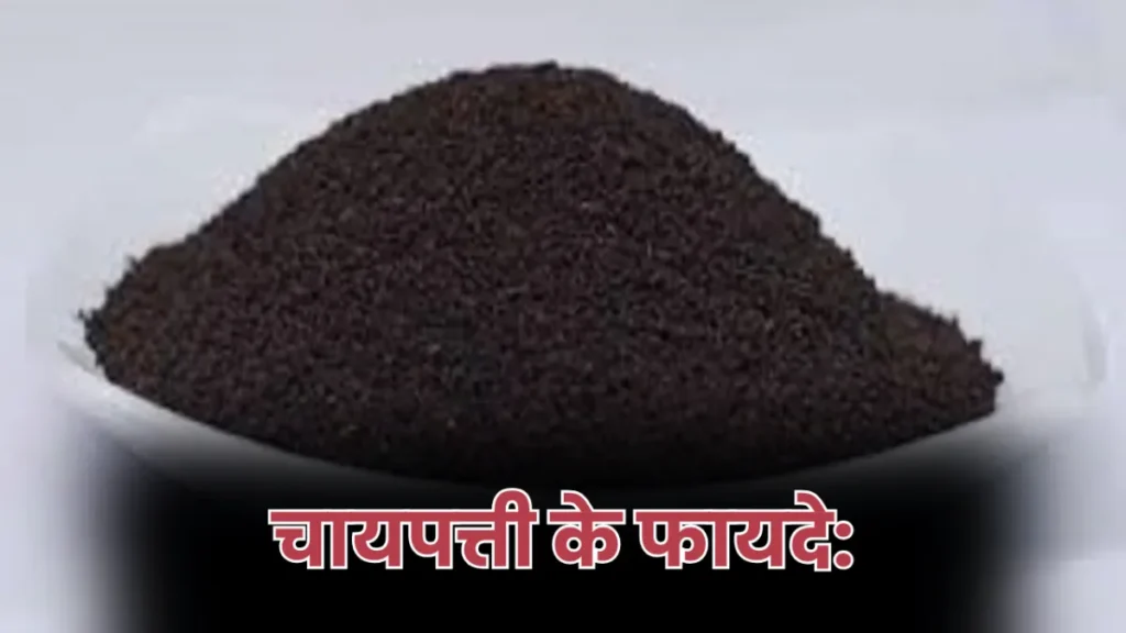 बालों को काला, लंबा और घना बनाए ये DIY Hair Serum, सिर्फ़ दो घरेलू चीजे होती है इस्तमाल