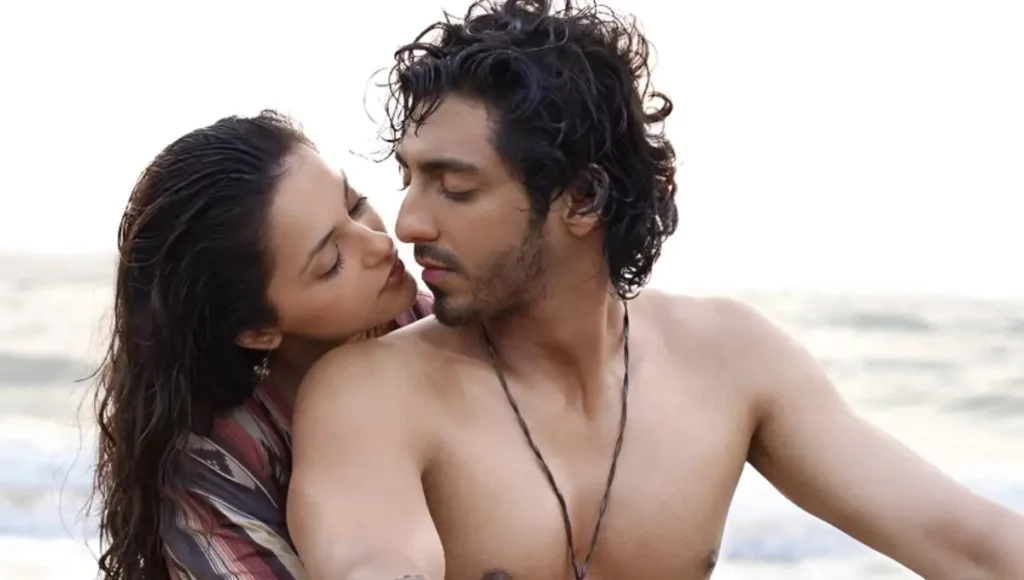 Saiyaara Box Office 1
