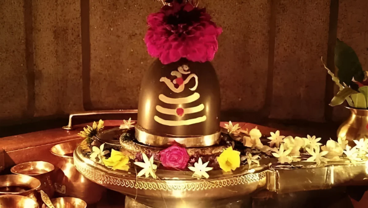 घर में Shivling Pooja करने से पहले जान लें ये 7 जरूरी नियम, नहीं तो पूजा अधूरी मानी जाती है