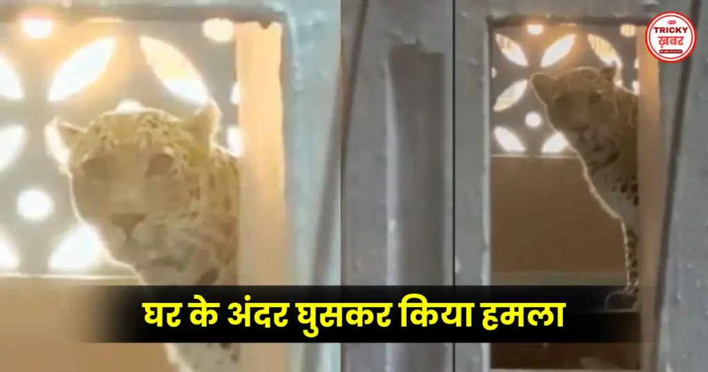 Leopard Attack in Mumbai: भायंदर ईस्ट के रिहायशी इलाके में घुसा तेंदुआ, 7 लोग घायल