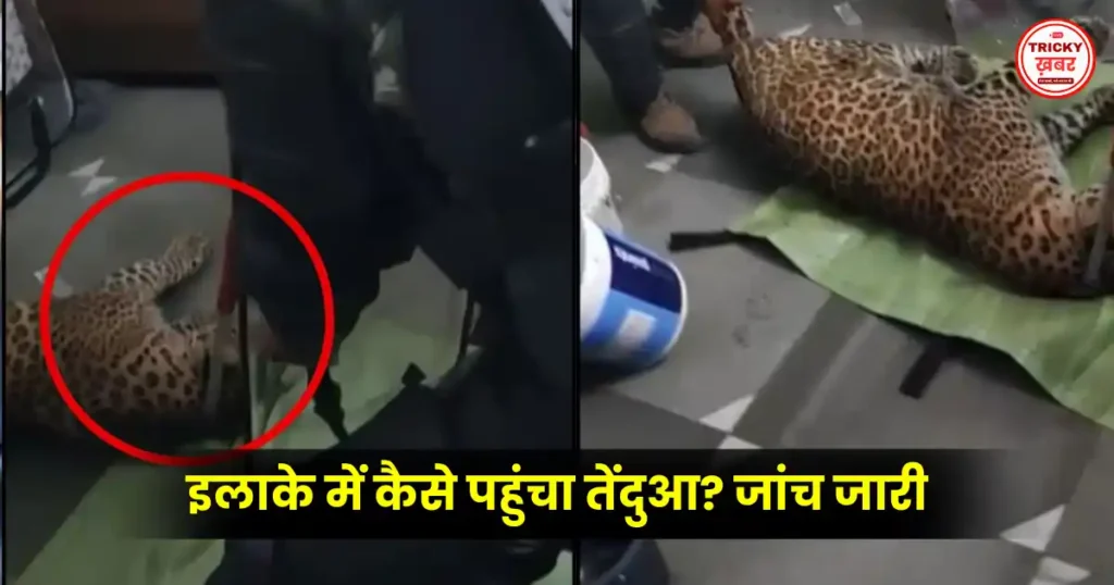 Leopard Attack in Mumbai: भायंदर ईस्ट के रिहायशी इलाके में घुसा तेंदुआ, 7 लोग घायल