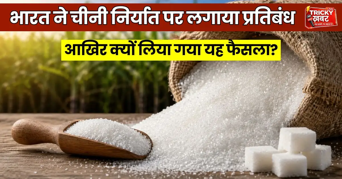 India sugar export ban featured image showing white sugar grains and sugar cubes after government imposed export restriction